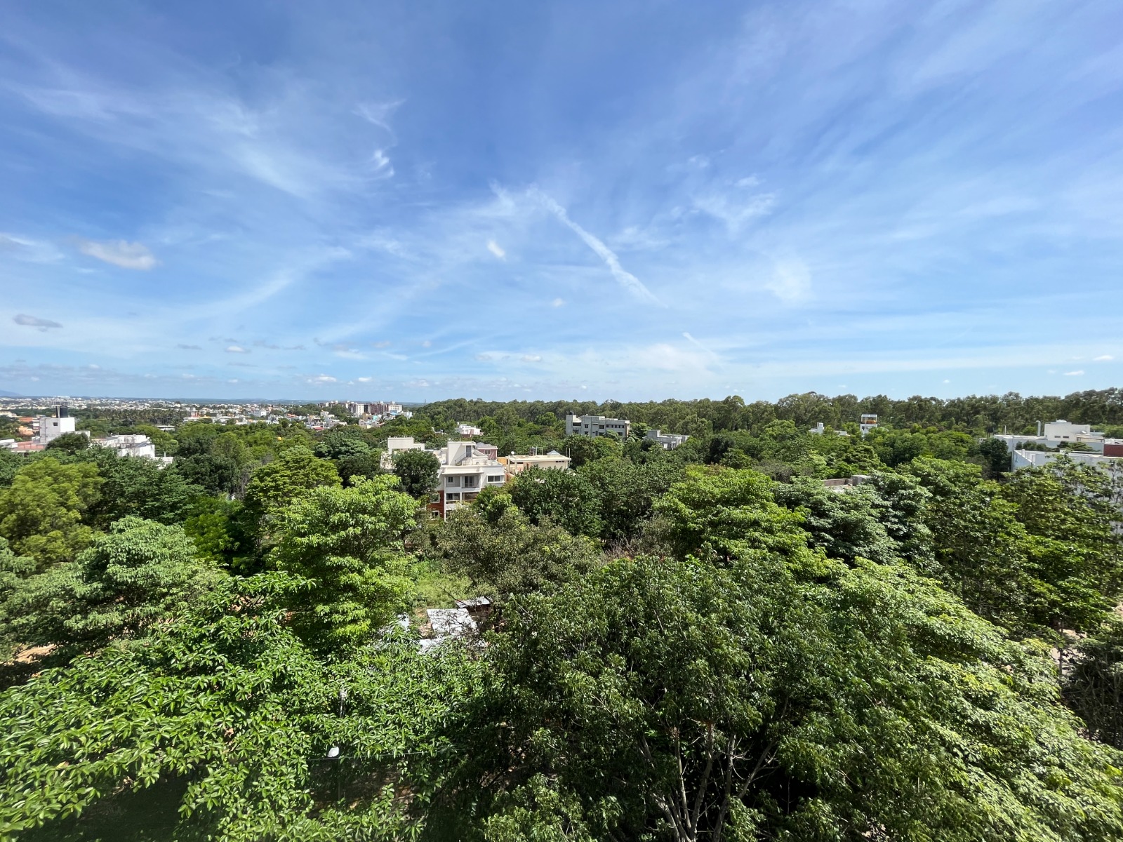 WhatsApp Image 2023-06-10 at 11.06.32 AM (9)