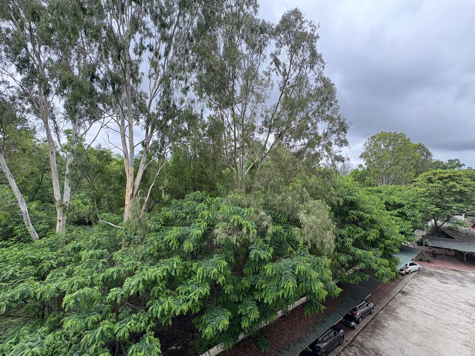 WhatsApp Image 2025-05-22 at 11.40.15 AM