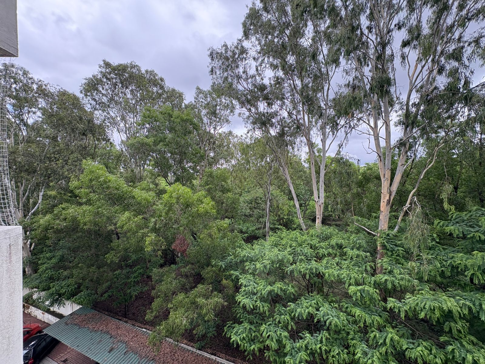 WhatsApp Image 2025-05-22 at 11.40.16 AM